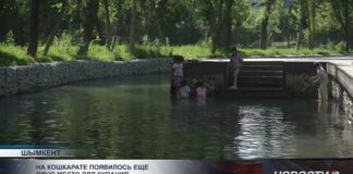 На Кошкарате появилось еще одно место для купания