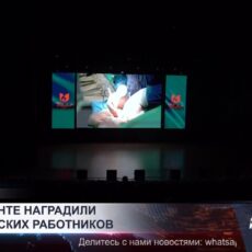 В Шымкенте наградили лучших медработников
