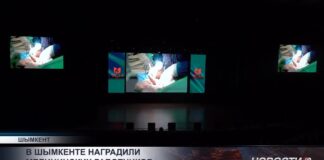 В Шымкенте наградили лучших медработников