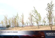 Экопарк вместо мусорного полигона заработал в Шымкенте