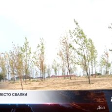 Экопарк вместо мусорного полигона заработал в Шымкенте