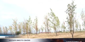 Экопарк вместо мусорного полигона заработал в Шымкенте