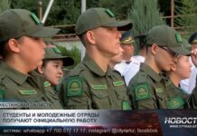 Студенты и молодежные отряды получают официальную работу