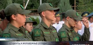 Студенты и молодежные отряды получают официальную работу