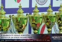 В Шымкенте юные боксеры борются за кубок Казахстана