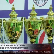 В Шымкенте юные боксеры борются за кубок Казахстана