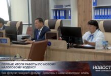 Новый налоговый кодекс обсуждают в Шымкенте