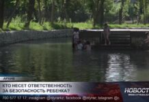 Безопасность детей во время летних каникул: кто несет ответственность?
