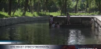 Безопасность детей во время летних каникул: кто несет ответственность?