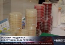 В Шымкенте обсудили меры по защите прав предпринимателей