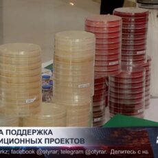 В Шымкенте обсудили меры по защите прав предпринимателей