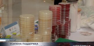 В Шымкенте обсудили меры по защите прав предпринимателей