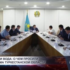 Мост, театр и вода: о чем просили жители акима Туркестанской области