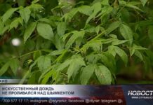 Осадки в Шымкенте не связаны с проектом искусственного дождя