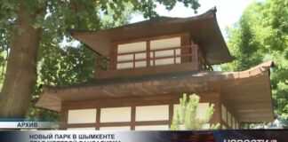 Вандалы добрались по японского парка
