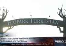 В Туркестане открыли уникальный экопарк и провели масштабную акцию в поддержку новой конституции