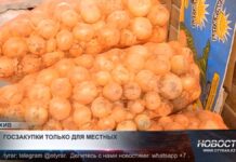 В Казахстане могут ограничить доступ импортных продуктов питания к государственным закупкам