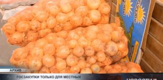 В Казахстане могут ограничить доступ импортных продуктов питания к государственным закупкам