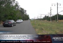 Не оставлять животных без присмотра просят фермеров в Шымкенте