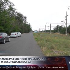 Не оставлять животных без присмотра просят фермеров в Шымкенте