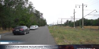 Не оставлять животных без присмотра просят фермеров в Шымкенте