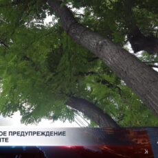 Штормовое предупреждение в Шымкенте