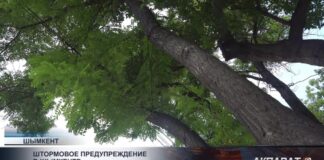 Штормовое предупреждение в Шымкенте
