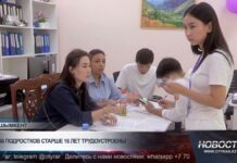 156 подростков старше 16 лет трудоустроены