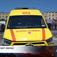 Зеленый свет жизни