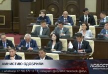 Амнистию одобрили