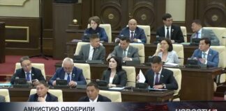 Амнистию одобрили