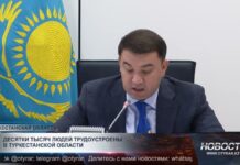 Обсуждены вопросы занятости и трудоустройства в Туркестанской области
