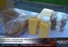 Казыгурт: стабильное производство молочной продукции