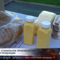 Казыгурт: стабильное производство молочной продукции