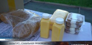 Казыгурт: стабильное производство молочной продукции