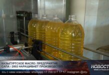 Казыгуртское масло: предприятие «Сапа 2002» наращивает производство