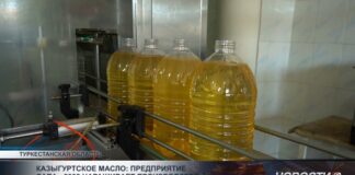 Казыгуртское масло: предприятие «Sappa 2002» наращивает производство