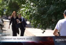 +40°C в тени: синоптики предупредили жителей Шымкента о знойной жаре