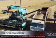 Аким Туркестанской области отчитался в правительстве