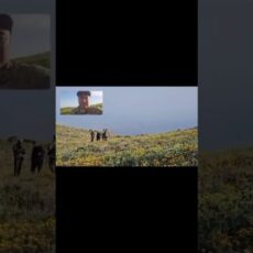 В горах Туркестанской области успешно завершилась ночная спасоперация