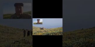 В горах Туркестанской области успешно завершилась ночная спасоперация