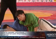 Алыш на подъеме: сильнейшие борцы получат шанс представить Казахстан