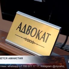 Кого коснется амнистия