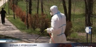 Борьба с кровососами и вакцинация собак