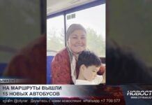 На маршруты вышли 15 новых автобусов