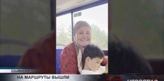 На маршруты вышли 15 новых автобусов