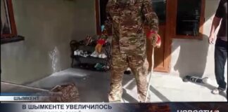 Жителям Шымкента рекомендуют соблюдать осторожность из-за увеличения числа змей