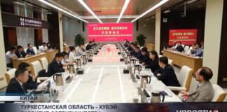 Туркестанская область — Хубэй: развитие сотрудничества