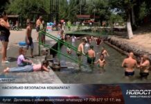 Насколько безопасна Кошкарата?