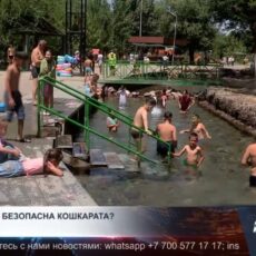 Насколько безопасна Кошкарата?